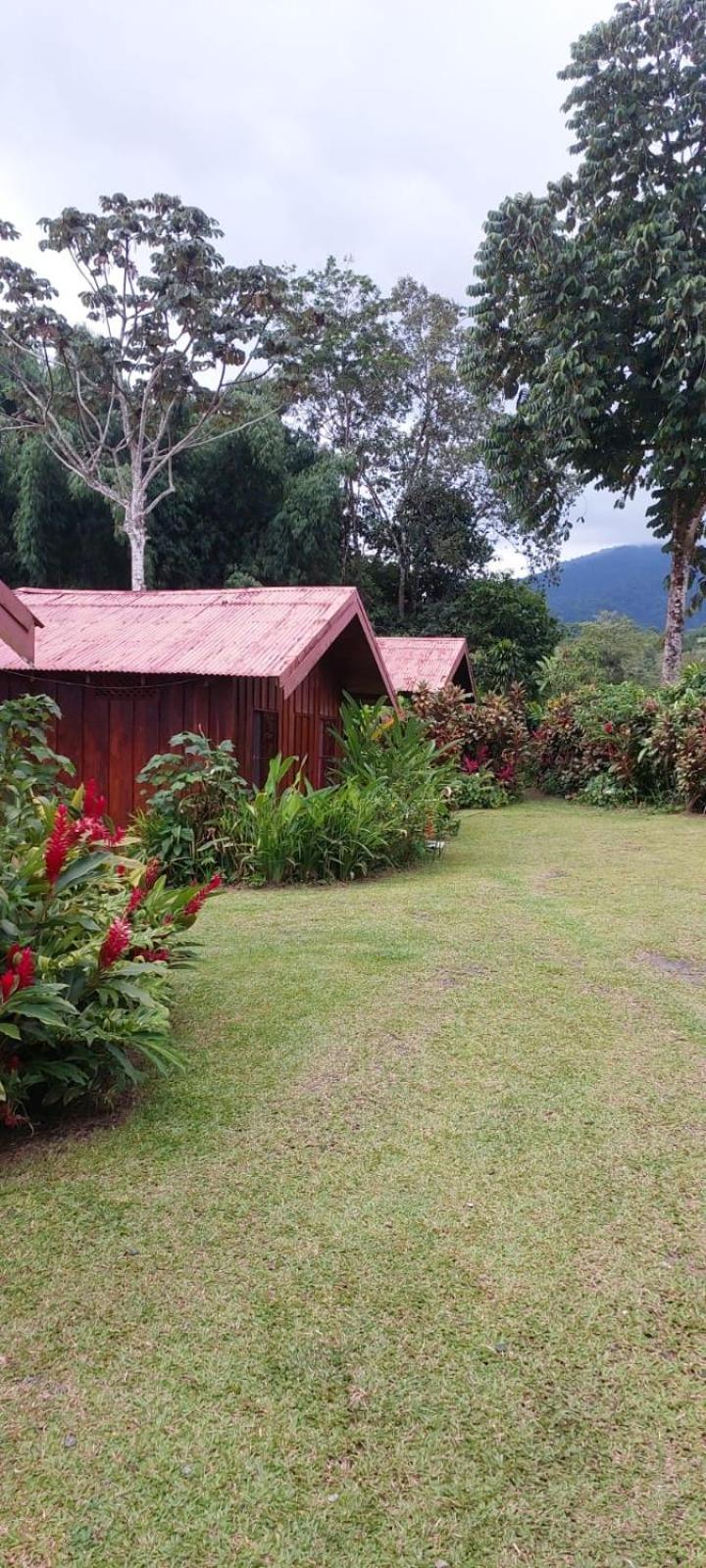 Cabinas La Catarata La Fortuna Екстериор снимка