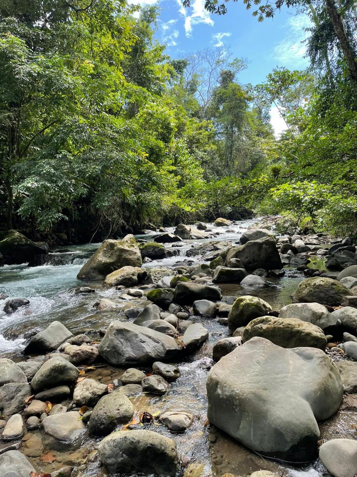 Cabinas La Catarata La Fortuna Екстериор снимка